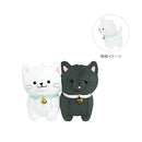 BEST FRIENDS:115735  Cats C