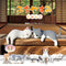 Fuchiyasumi Nyanko - Blind Box