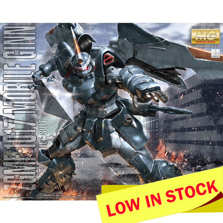 MG GINN Gundam SEED 1/100