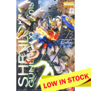 MG Shenlong Gundam EW ver. 1/100