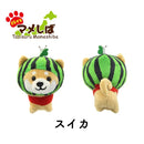 MAMESHIBA:FRUIT Watermelon