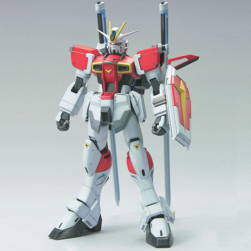 Gundam SEED 1/100 Scale Model