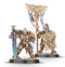 Warhammer Age of Sigmar: Lumineth R-L: Vanari Auralan Wardens