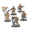 Warhammer Age of Sigmar: Lumineth R-L: Vanari Auralan Wardens