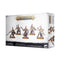 Warhammer Age of Sigmar: Hedonites: Myrmidesh Painbringers