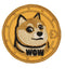 Fantastic Fam Patch - Doge Coin
