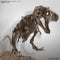 Imaginary Skeleton Tyrannosaurus1/32